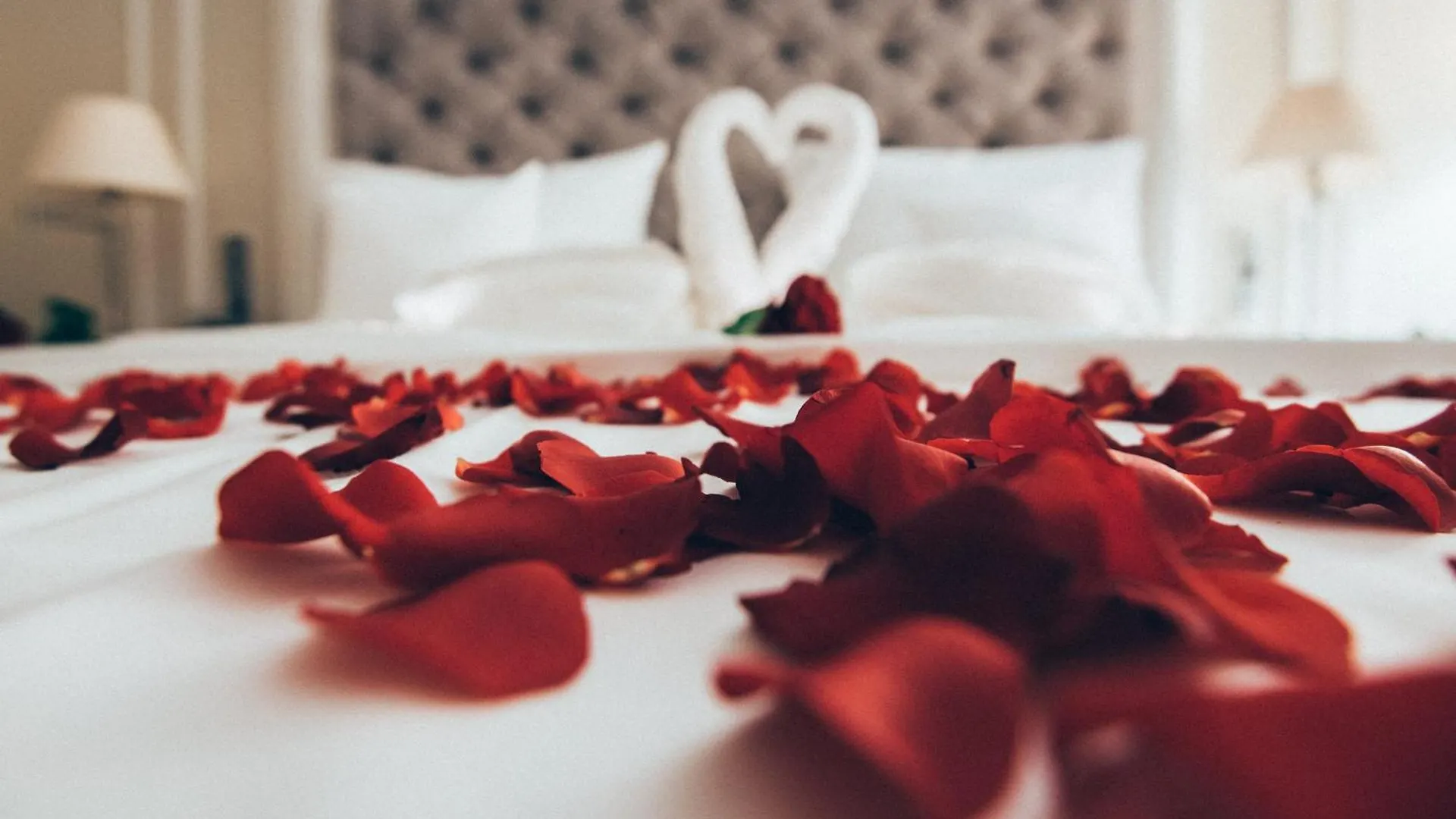 Holiday Inn - The Niu, Fender Амстердам 4*,  Нидерланды